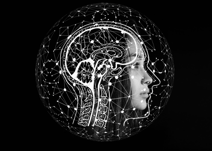 NLP Practitioner Eğitimi Logo